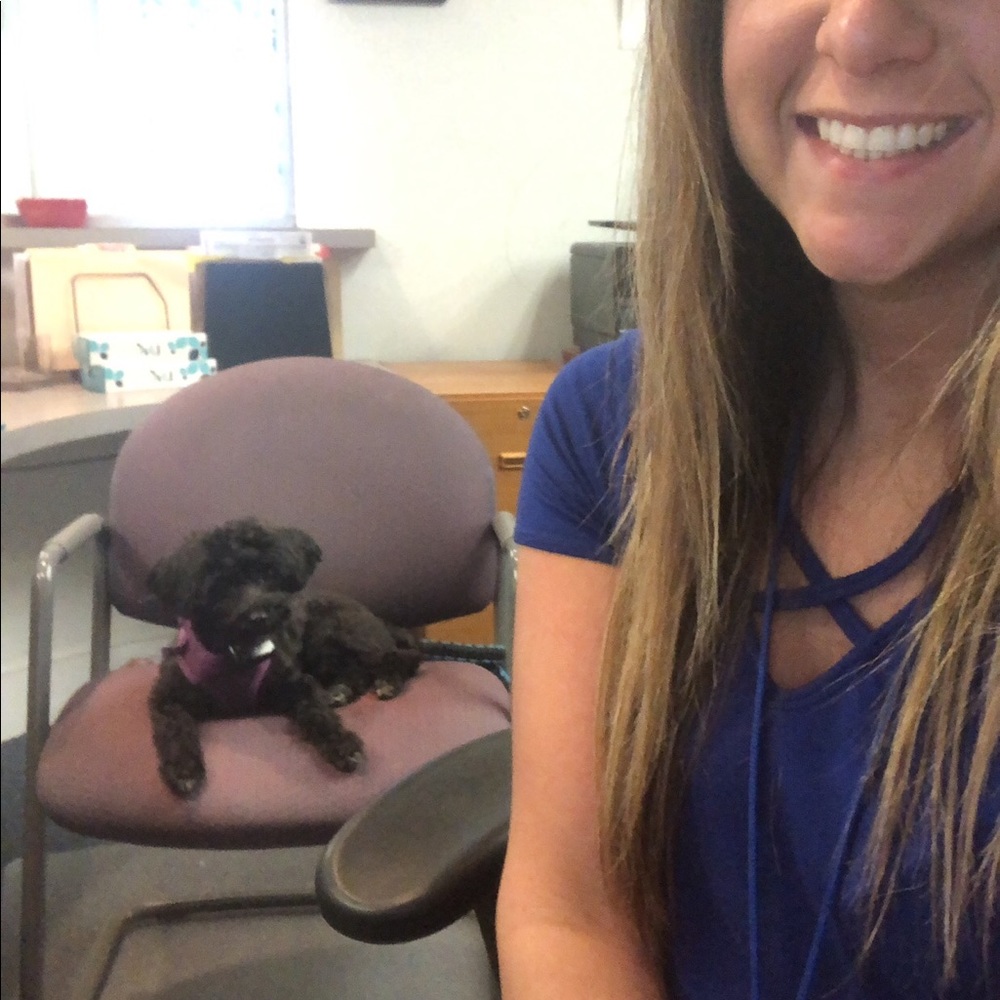 Royal blue hard to see in pics!